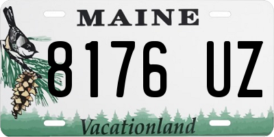 ME license plate 8176UZ