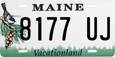 ME license plate 8177UJ