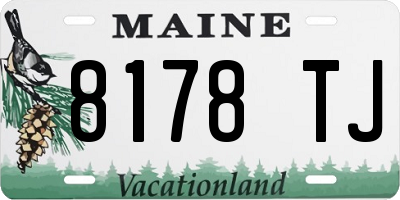 ME license plate 8178TJ