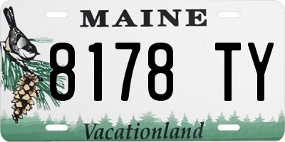 ME license plate 8178TY