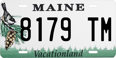 ME license plate 8179TM