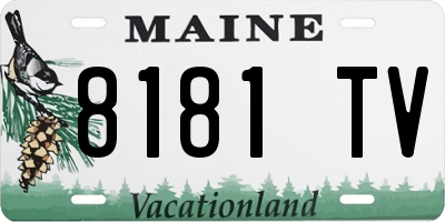 ME license plate 8181TV