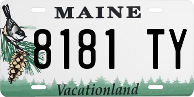 ME license plate 8181TY