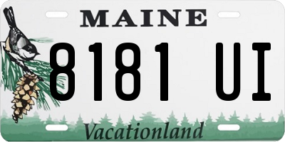 ME license plate 8181UI