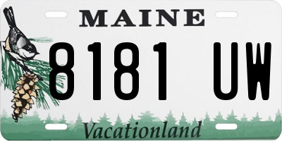 ME license plate 8181UW