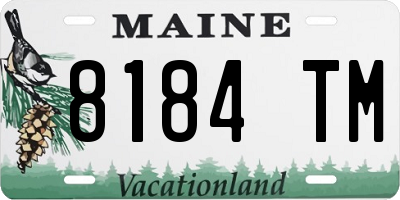 ME license plate 8184TM