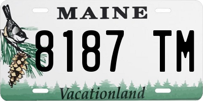ME license plate 8187TM
