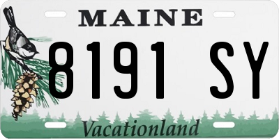 ME license plate 8191SY