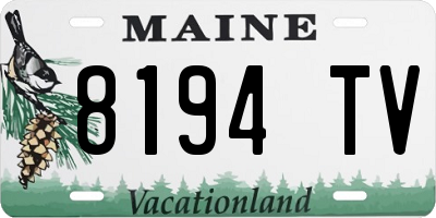 ME license plate 8194TV