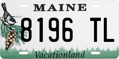ME license plate 8196TL