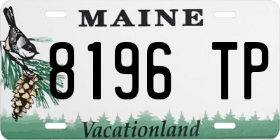 ME license plate 8196TP