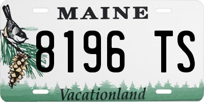 ME license plate 8196TS