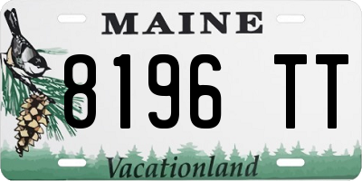 ME license plate 8196TT