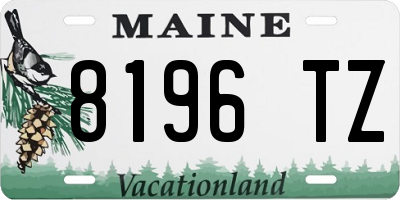 ME license plate 8196TZ