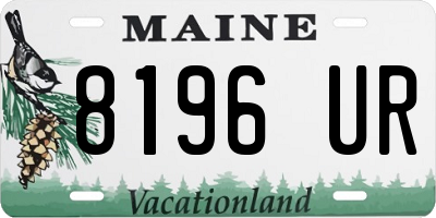 ME license plate 8196UR