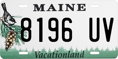 ME license plate 8196UV