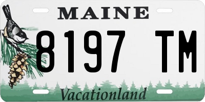 ME license plate 8197TM