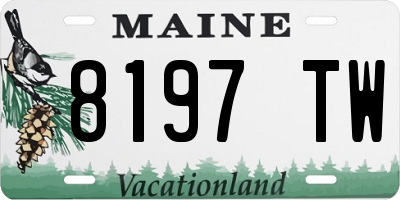 ME license plate 8197TW