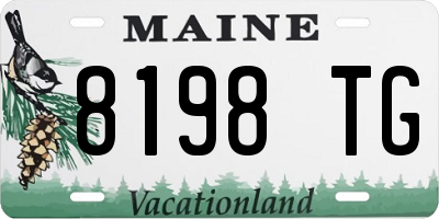ME license plate 8198TG