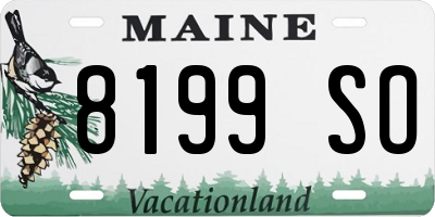 ME license plate 8199SO