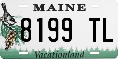ME license plate 8199TL