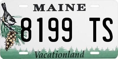 ME license plate 8199TS