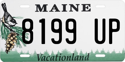 ME license plate 8199UP