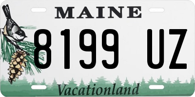 ME license plate 8199UZ