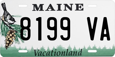 ME license plate 8199VA
