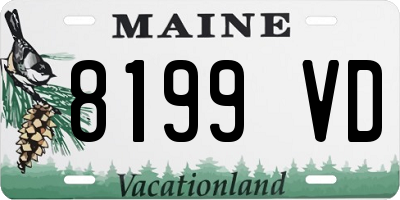 ME license plate 8199VD