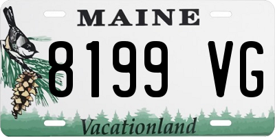 ME license plate 8199VG