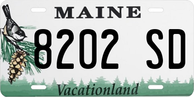ME license plate 8202SD
