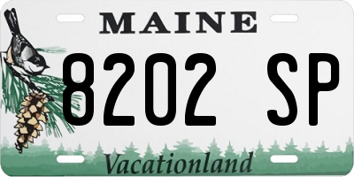 ME license plate 8202SP