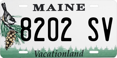 ME license plate 8202SV