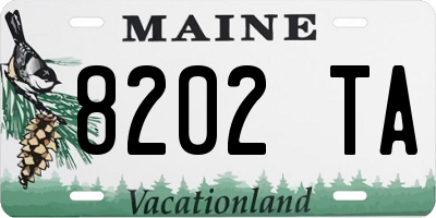 ME license plate 8202TA