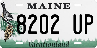 ME license plate 8202UP