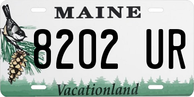 ME license plate 8202UR