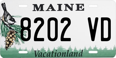 ME license plate 8202VD