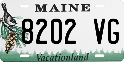 ME license plate 8202VG