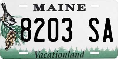 ME license plate 8203SA