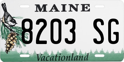 ME license plate 8203SG