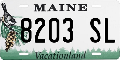 ME license plate 8203SL