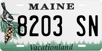 ME license plate 8203SN