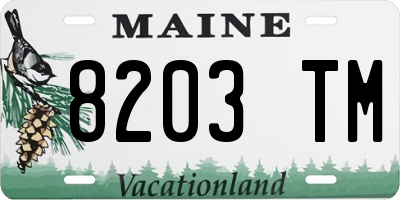 ME license plate 8203TM