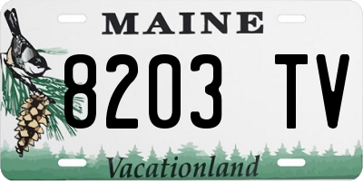 ME license plate 8203TV