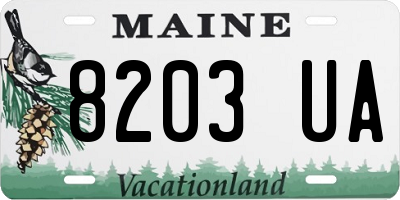 ME license plate 8203UA