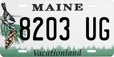 ME license plate 8203UG