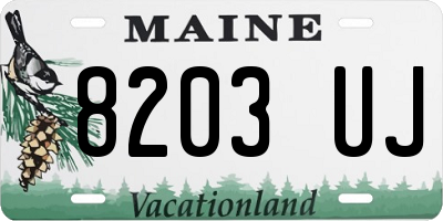 ME license plate 8203UJ