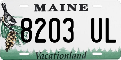 ME license plate 8203UL