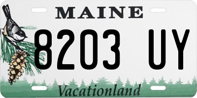 ME license plate 8203UY